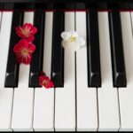 ピアノの鍵盤の上に紅白の梅の花をあしらった、新春を祝う明るく清々しいイメージ画像